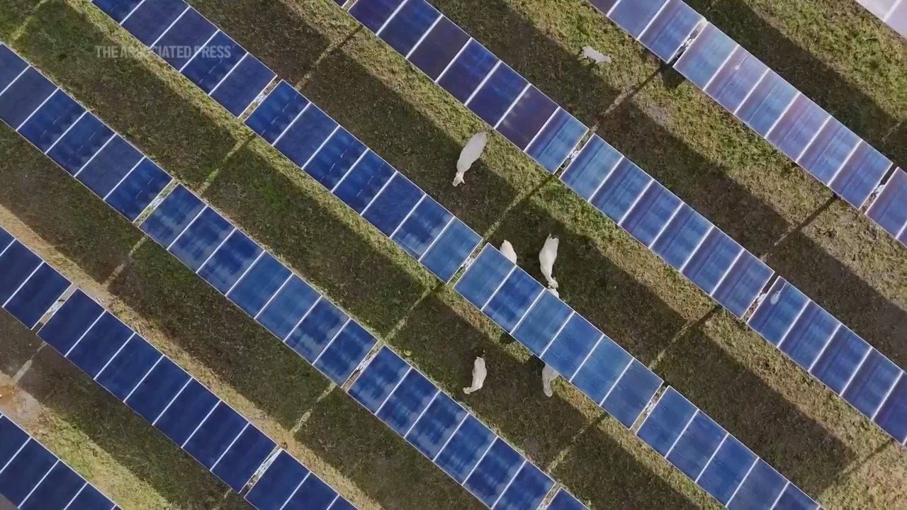 Çin eski güneş panellerini tasfiye etmeye zorlayacak yeni kurala geçti